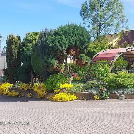 Ferienwohnung Bienwald Mit Pool Fuer 4 - 6 Personen Mit 3 Schlafzimmern Grobitz 외부 사진